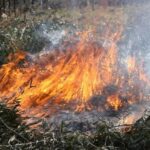 Вогнеборці Рівненщини ліквідували 8 пожеж на відкритих територіях