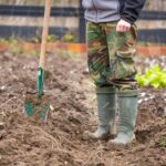 Чи потрібно перекопувати город на зиму? Досвідчені городники дали остаточну відповідь