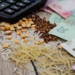 «Стрибок» курсу євро вплине на ціни в Україні: Відомі терміни