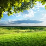 Країну охопить антициклон: Якої погоди чекати до кінця тижня