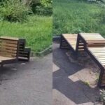 Таких ще не було: у головному парку Рівного встановили «криві лавки» – скільки вони коштують (ВІДЕО)