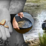 «Почалась справжня золота лихоманка»: де в Україні найбільші поклади золота