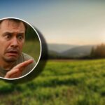 Ця комаха схожа на квасолю: Будьте обережні, коли побачите її (ФОТО)