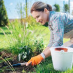 Не коштує жодної копійки: перевірене добриво, яке підвищить врожайність всіх овочів на городі