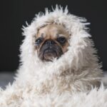 В Укргідрометцентрі попередили про похолодання, але є нюанс