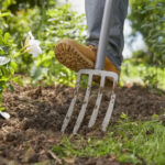 Секрет, про який мало хто знає: навіщо досвідчені городники кладуть картон на дно грядки?