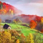 Який птах на подвір’ї віщує 30 жовтня щастя та достаток: народні прикмети