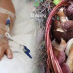 Зібрала їх власноруч: Жінка померла внаслідок отруєння грибами на Рівненщині