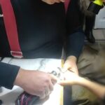 Алюмінієве кільце перетворилося на пастку: назвичайники врятували палець 7-річного хлопчика у Дубні (ВІДЕО)