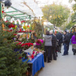 Почався продаж новорічних ялинок: яка ціна за дерево, висотою 1 м