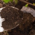 Сьогодні робимо, а навесні вносимо: як швидко приготувати компост у мішках?