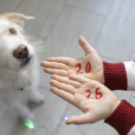 Коли святкуватимемо Різдво Христове 2025 року і чи буде в українців додатковий вихідний на Новий рік