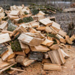 Де можна законно заготовляти дрова на зиму, щоб не отримати штраф?