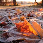 14 листопада – переддень Різдвяного посту: звичаї, прикмети та заборони дня