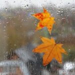 Що робили 20 листопада, щоб нечиста сила не пробралась у дім: народні прикмети