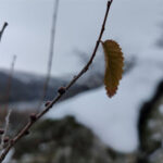 Що не можна позичати сусідам 28 листопада, аби не віддати своє щастя: народні прикмети