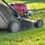Останній покіс газону: Як підготувати траву до зими
