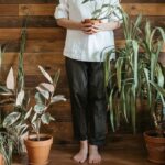 «Виснажують енергію та заважають особистому життю»: які кімнатні рослини небажано тримати вдома