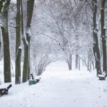 Рівненщину знову засипатиме снігом: Прогноз на 23 листопада