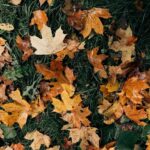 Температура впаде до нуля: Похолодання йде на Рівненщину?