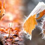 Чому 19 листопада вважали невдалим днем: народні прикмети