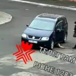 У Квасилові водій двічі переїхав собаку на очах у перехожих: поліцейські проводять перевірку (ВІДЕО 18+)