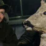 На Рівненщині поліцейський та місцеві жителі врятували поранену косулю (ФОТО)