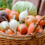 Найпопулярніший овоч України активно ввозять з Польщі: де наш урожай?