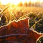 Як останні дні березня: Стало відомо, якою на Рівненщині буде погода у переддень зими