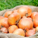 Цибуля дешевшає: Відомі ціни на овоч на ринку