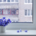 Втратите гроші та щастя: що НЕ можна тримати на підвіконні?