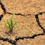 Процес незворотний: Які регіони України перетворюються на пустелю