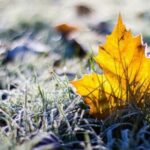 Чим 25 листопада можна накликати бідність: народні прикмети