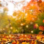 Кого не можна кликати в гості 27 листопада: народні прикмети