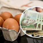 До кінця року яйця можуть стати розкішшю: чи злетить ціна до 100 гривень
