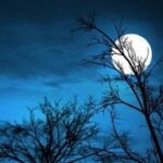 Найдовша ніч року: коли українці зустрінуть зимове сонцестояння