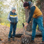 Дрова з лісу у 2026 році: чи дозволено рубати дерева, повалені стихією?