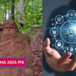 Кінець КІНО: що обіцяє рік 2026 – людям, які пов’язали себе з Інтернетом та IT (6 ФОТО)