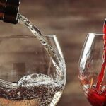 Червоне чи біле: яке вино менш шкідливе для здоров’я 