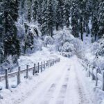 Що потрібно покласти в кишеню 17 грудня, щоб притягнути багатство: народні прикмети