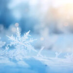 Що не можна викидати з дому 27 грудня, аби не накликати злидні: народні прикмети