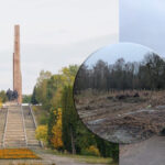 На Пагорбі Слави у Рівному зрізали дерева: Очевидці публікують докази (ФОТО)