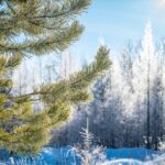 4 грудня – День святої Варвари: звичаї, прикмети та заборони дня