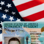 Мрія про США під загрозою: тимчасово зупиняють лотерею Green Card