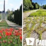 У Рівному питають думку мешканців про реконструкцію Пагорба Слави: почали опитування