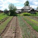 Чи можуть забрати ваш город у воєнний час: Відповідь, яку не всі очікують