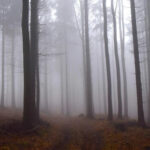 Синоптики розповіли, чого чекати від погоди на Рівненщині 3 грудня