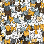 Усі бачать котів, але лише люди з ідеальним зором можуть знайти кролика