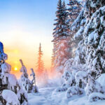 Що не можна робити з грошима 28 грудня, аби не прожити рік у злиднях: народні прикмети