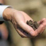 Навіщо на похороні кидають жменю землі в могилу: сенс традиції, що об’єднує культури